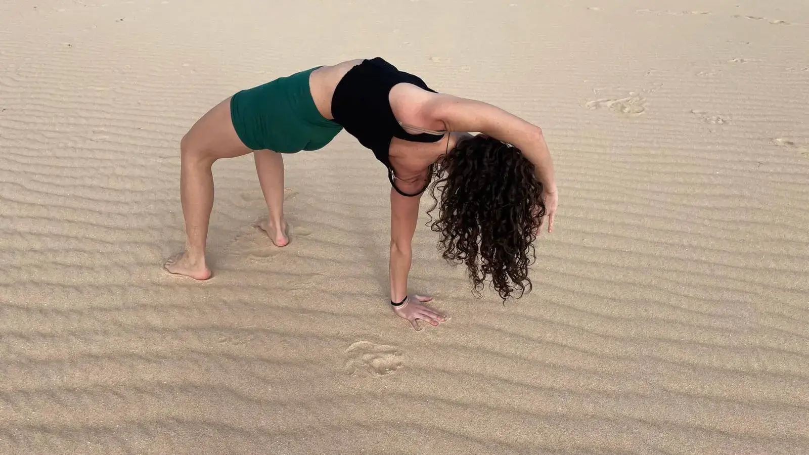 Vystupující Healing Fetsivalu 2026 - Muriaci